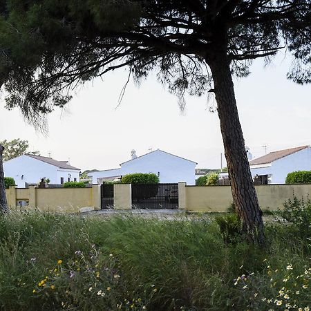 Villas Perez Zara Conil De La Frontera Kültér fotó